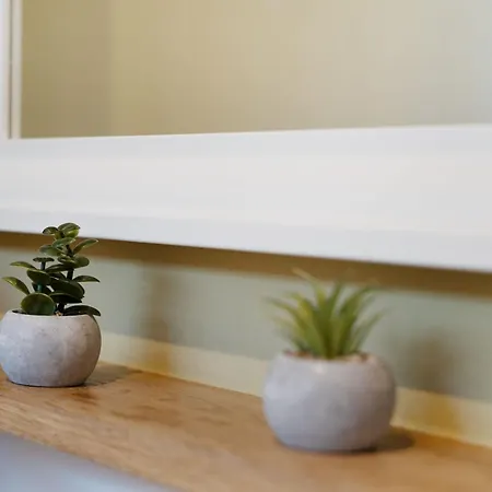 Boettgerei Liebeslaube *